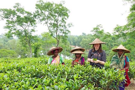 Private Sreemangal Tour Package from Dhaka: Srimangal Nature Tour