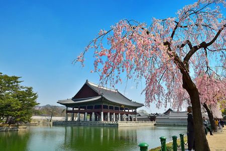 Seoul Full day Private Tour Gyeongbokgung Palace, Insadong & More