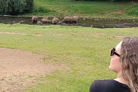 Anakulam Wild Elephant Village life tour ( By Munnar Info)