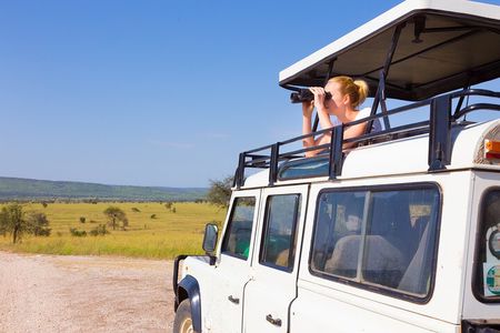 4-Day Group Safari to Tarangire, Serengeti & Ngorongoro Crater