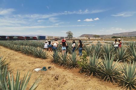 The Fire TOUR - Pyramids, Volcanoes, Agaves & Tequila
