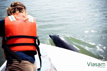 Full Day Tour Mangroves Dolphins and Birds from Guayaquil 