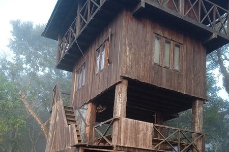 Jungle Tower Night Stay in Chitwan National Park 2 Nights 3 Days 
