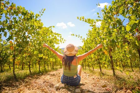 Half day Chianti Vineyard Escape from Florence with Wine Tastings