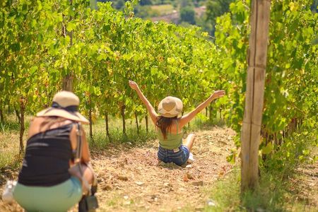 Half day Chianti Vineyard Escape from Florence with Wine Tastings