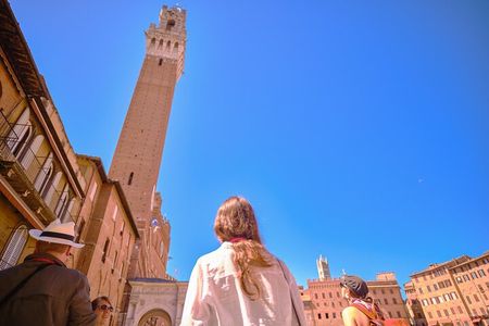 Siena, San Gimignano and Chianti Wines Day Tour from Florence