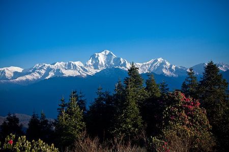 Luxury Ghorepani Poonhill Trek - 10 Days 