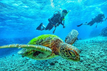 7 Days Diving and Hiking on the Galapagos Islands Tour