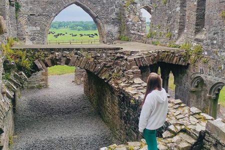 Private Tour from Dublin: Hill of Tara Trim Castle, Celtic sites