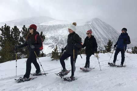 Half Day Guided Snowshoe Tour Near Breckenridge 