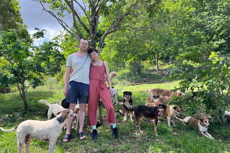 Dog Lover's guided tour of the Happy Tails Sanctuary
