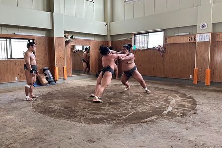 Experience the Sumo World in Tokyo