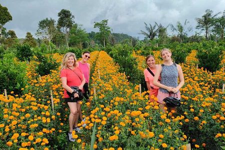 Mount Batur to Ubud – Soft Adventure Cycling