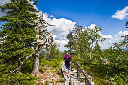 Rovaniemi: Korouoma Canyon Hike and Barbecue Experience