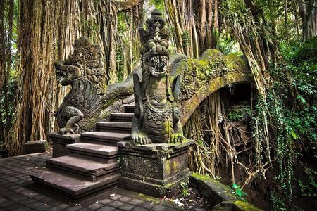 Bali Ubud Tour: Monkey Forest, Waterfall & Rice Terrace