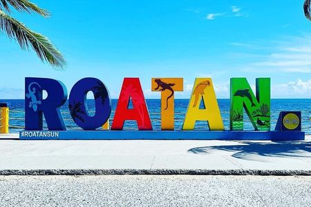 Roatan chocolate and rum company tour with optional stops 