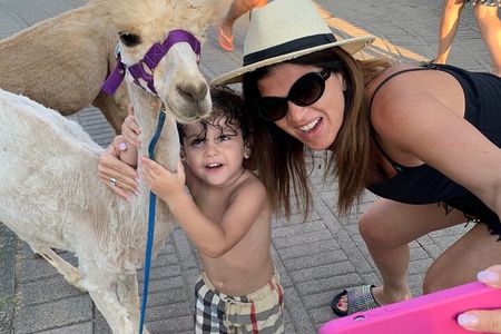 Calabrian Alpacas Sunset Beach Experiences Pizzo VV AlpacSelfies 