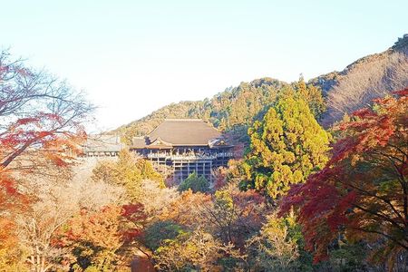 Guided Kyoto Trail Higashiyama Fushimi Inari To Kiyomizudera