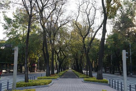 Mexico City: 19 City Highlights Bicycle Tour