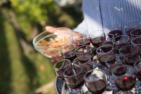 Konavle Tradition & Vines: Brajković Winery Journey