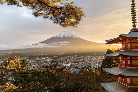Private Tour to Mt Fuji and Hakone with English Speaking Driver