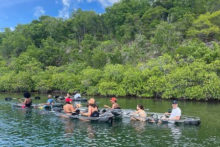 Crystal Kayak & Snorkel Eco Tour