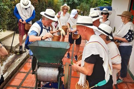 Coffee Farm and Santa Rosa Hot Springs Tour from Pereira or Armenia