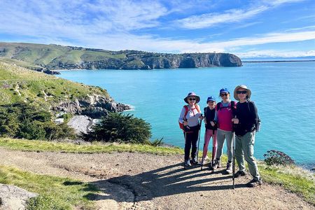 Full Day Guided Walking Tour and Picnic around Godley Head
