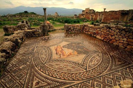 Fes to Casablanca via Volubilis and Rabat privat trasfer