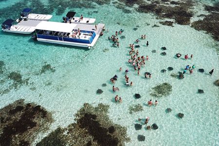 6-Hours Tour East Coast of Antigua: Stingray City, Lunch & Beach