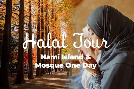 Halal - Central Mosque/Nami Island/Sheep Ranch /Morning Calm