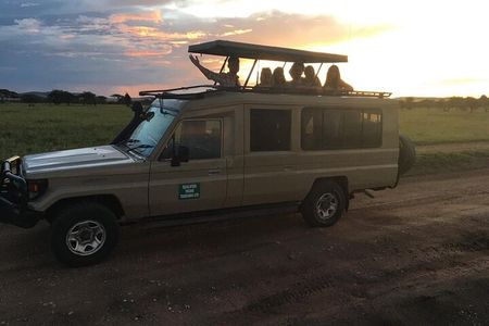 2 Days Tarangire park and Ngorongoro Crater from Zanzibar 