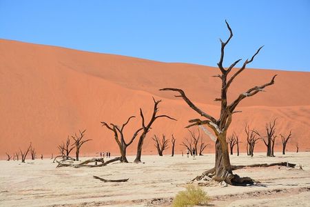 2 Days Guided Tour in Sossusvlei and Sandwich Harbor