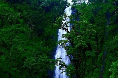 Materuni waterfall - coffee tour OR Chemka hot spring Tour