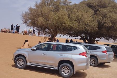 Small Sahara Private Day Tour