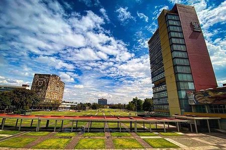 EXCLUSIVE TOUR: Murals+Ciudad Universitaria Stadium-small groups
