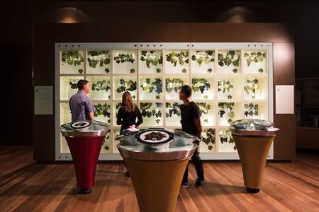Guided Wine Journey and Discovery Tasting Tour in Adelaide