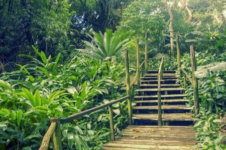 Full Day Nadi Discover Tour ( From Sigatoka Coral coast Hotels )