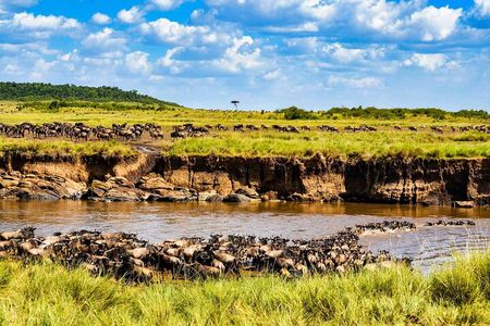 3 Days 2 Nights Maasai Mara Guided Safari Tour