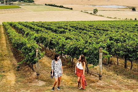 Relaxed Half Day Yarra Valley Wine Tasting Tour from Melbourne