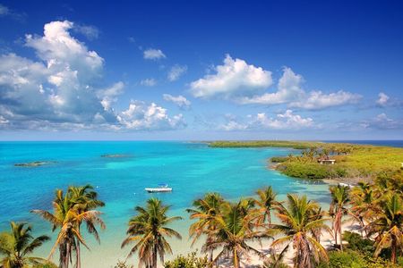 Full Day Nature Expedition to Contoy Island and Isla Mujeres