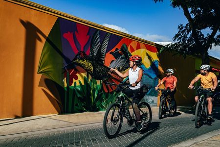 Semi-Private Road to San Nicolas Culture Heritage by E-Bike Aruba