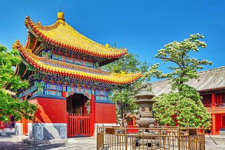 Private Tour to Lama Temple, Tian'anmen Square and Forbidden City
