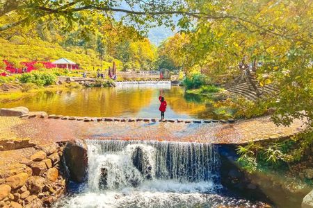 Shimen National Forest Park & Conghua Hot Spring Private Day Tour
