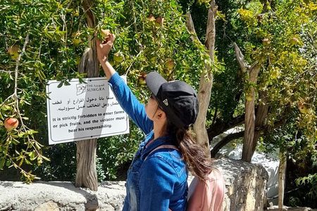 Jebel Akhdar Al Suwjara - Birkat Al Mouz Ruins - Private Full Day Tour