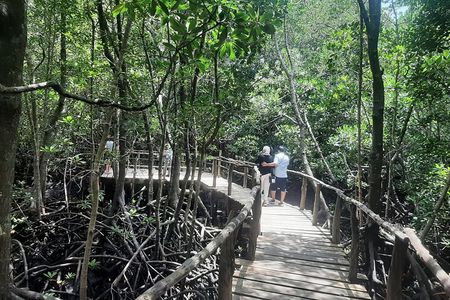 Private Spice Tour and Jozani Forest in Zanzibar