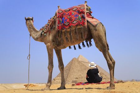 Pyramids of Giza, Sphinx and Egyptian Museum Day Tour