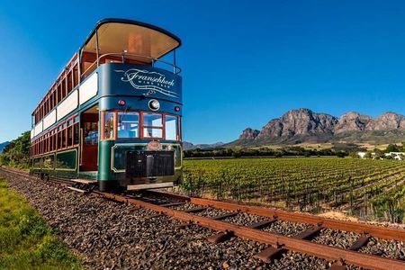 Stellenbosch&Franschhoek wineTasting Private Tour From Cape Town 
