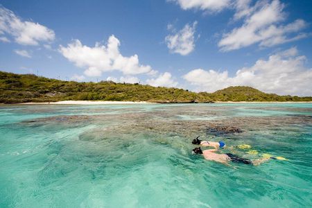 FANTASTIC Green Island and Sea Turtles - Half Day share boat trip