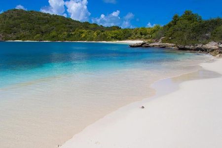 Discover Green Island and Sea Turtles - Half Day SHARE BOAT TRIP